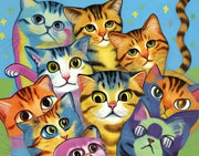 Playful Cats - Paint by Numbers Kit