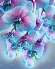 Elegant Blue Orchids | Paint by Numbers - Paint by Numbers Kit