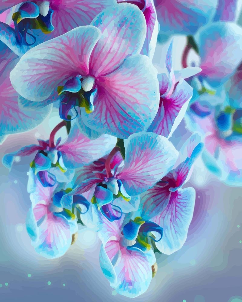 Elegant Blue Orchids | Paint by Numbers - Paint by Numbers Kit
