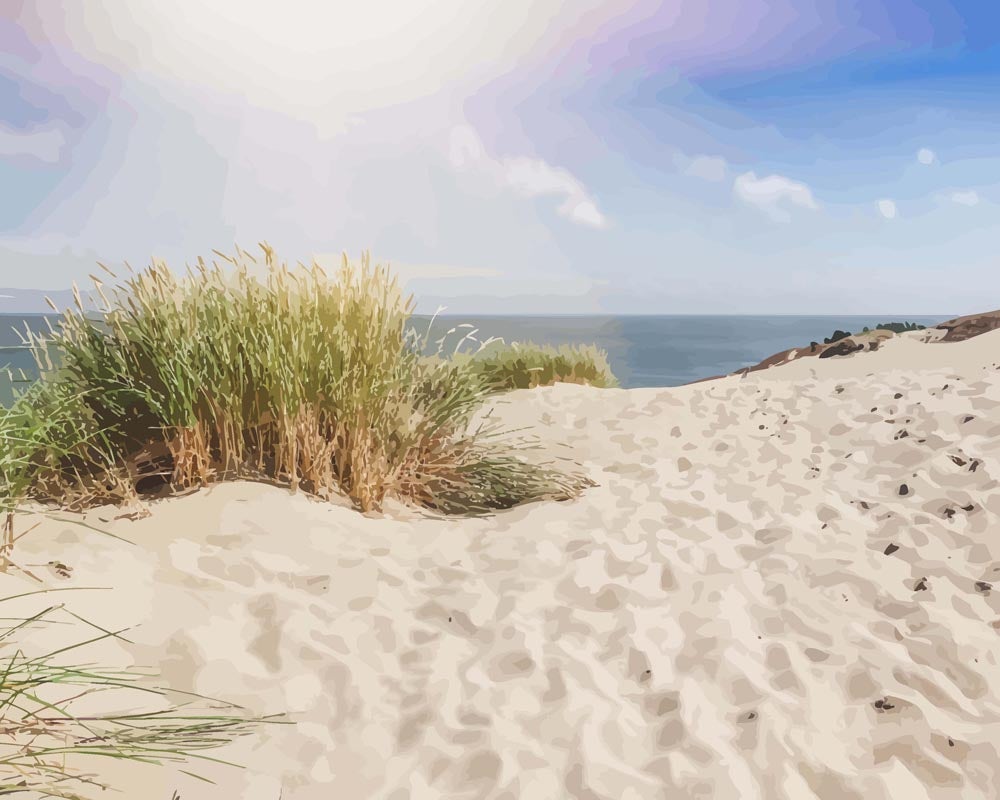 Baltic Dunes | Paint by Numbers - Paint by Numbers Kit