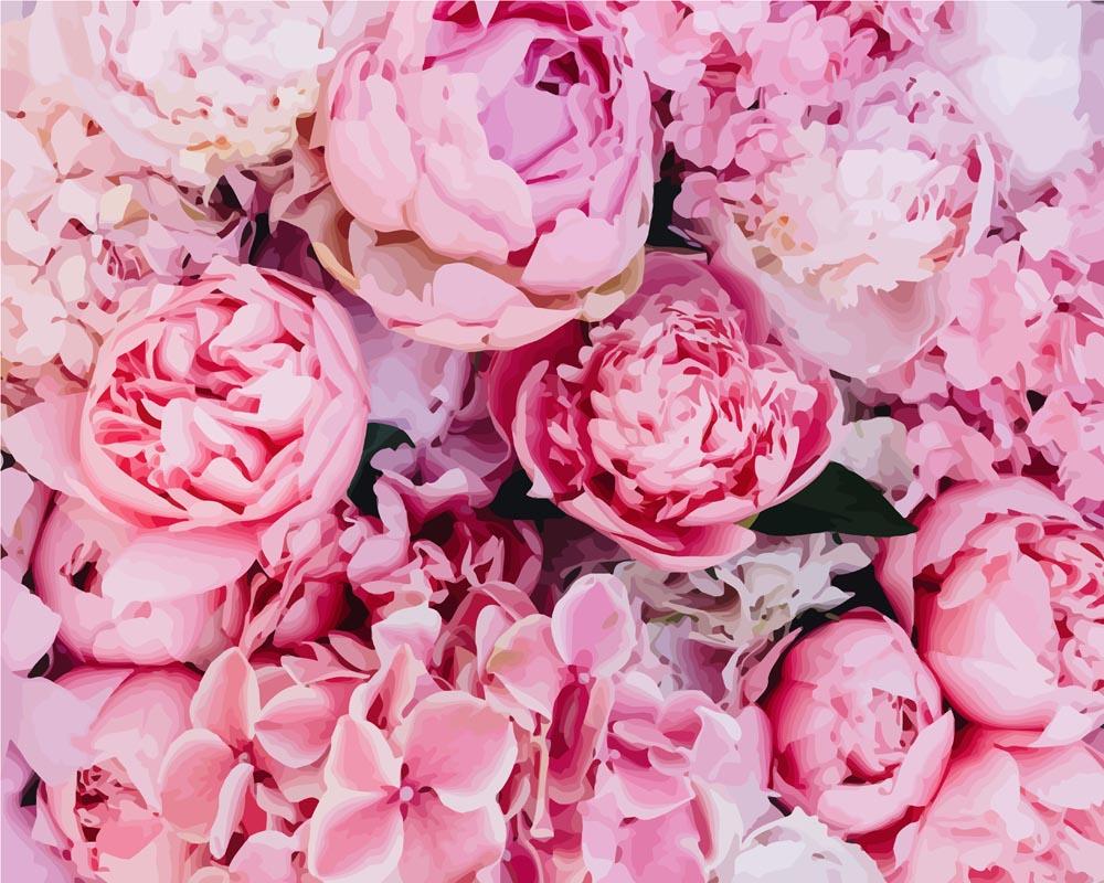 Peony Blossom Background - Paint by Numbers Kit