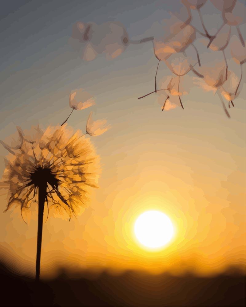 Dandelion Sunset Glow - Paint by Numbers Kit