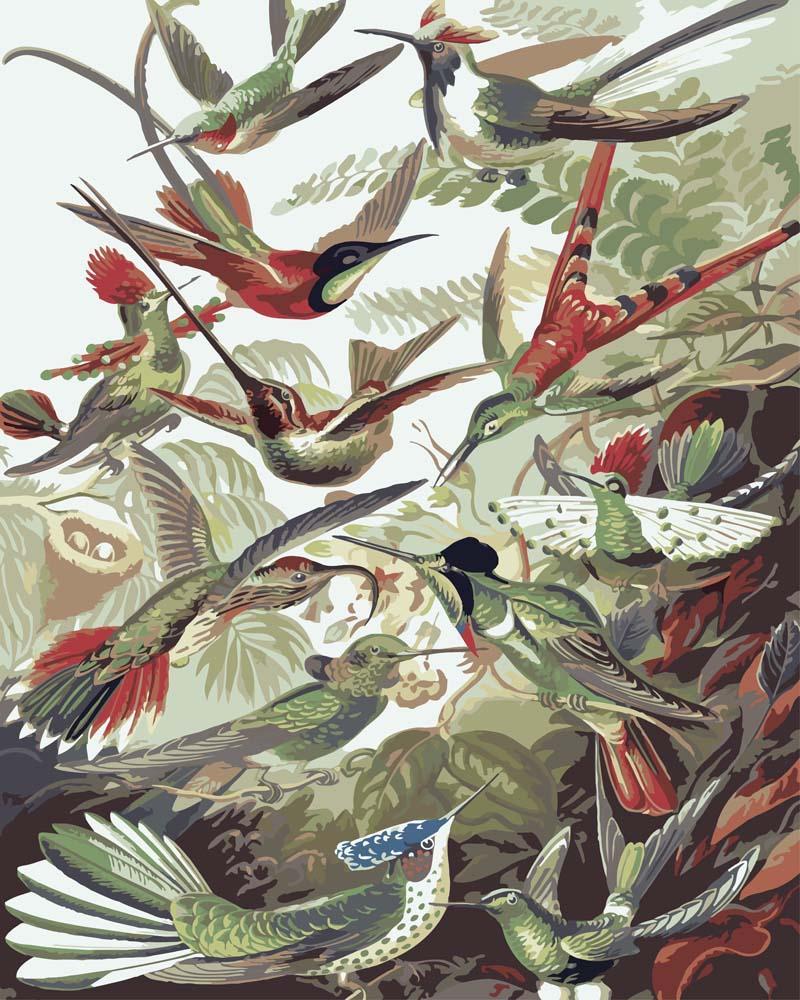 Colorful Hummingbirds in Flight - Paint by Numbers Kit