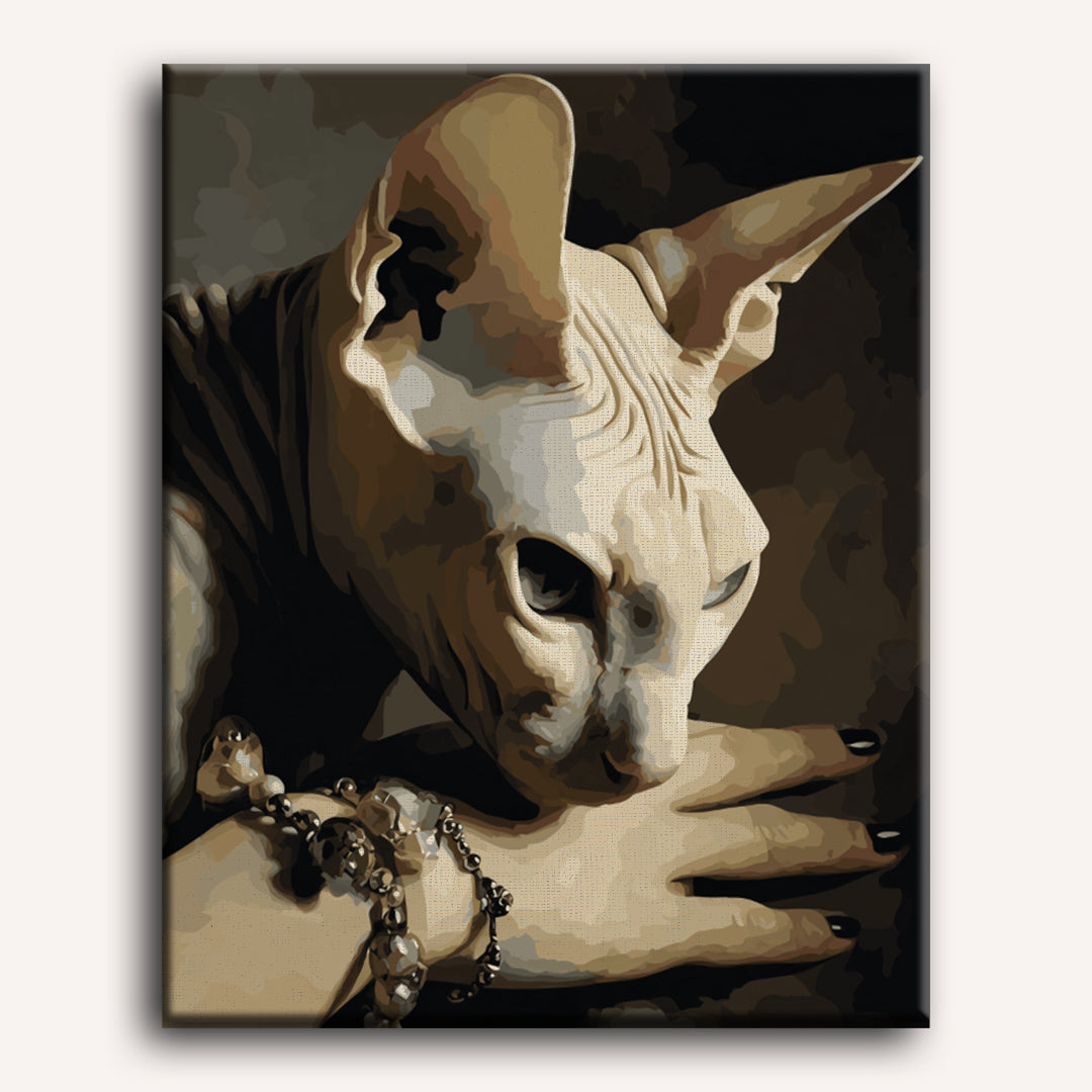 Nocturnal Feline Connection