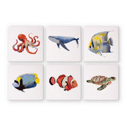 Colorful Fish Adventure - Paint by Numbers Kit
