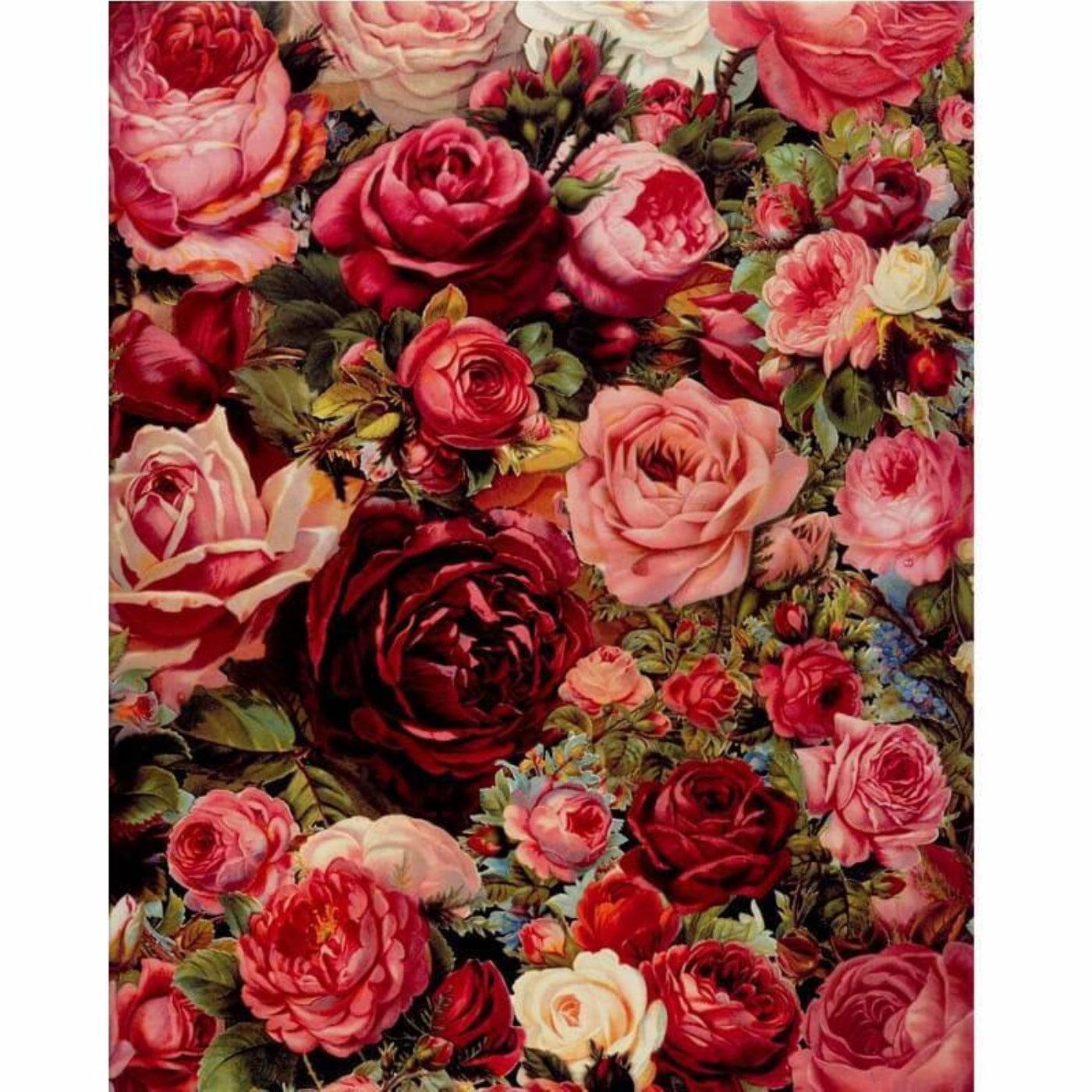 Blossom Harbor of Roses - Paint by Numbers Kit