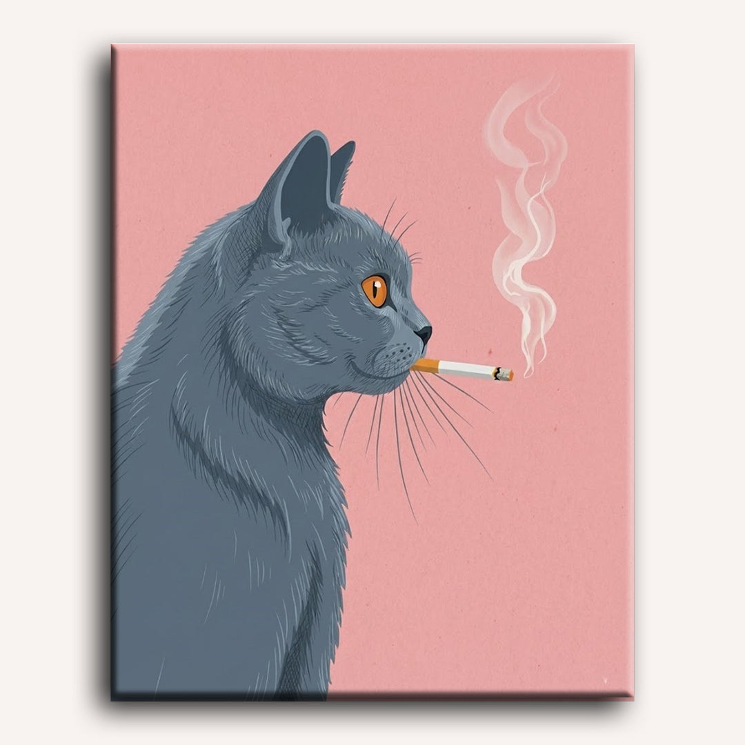 Pink-Hued British Shorthair - Detail 2