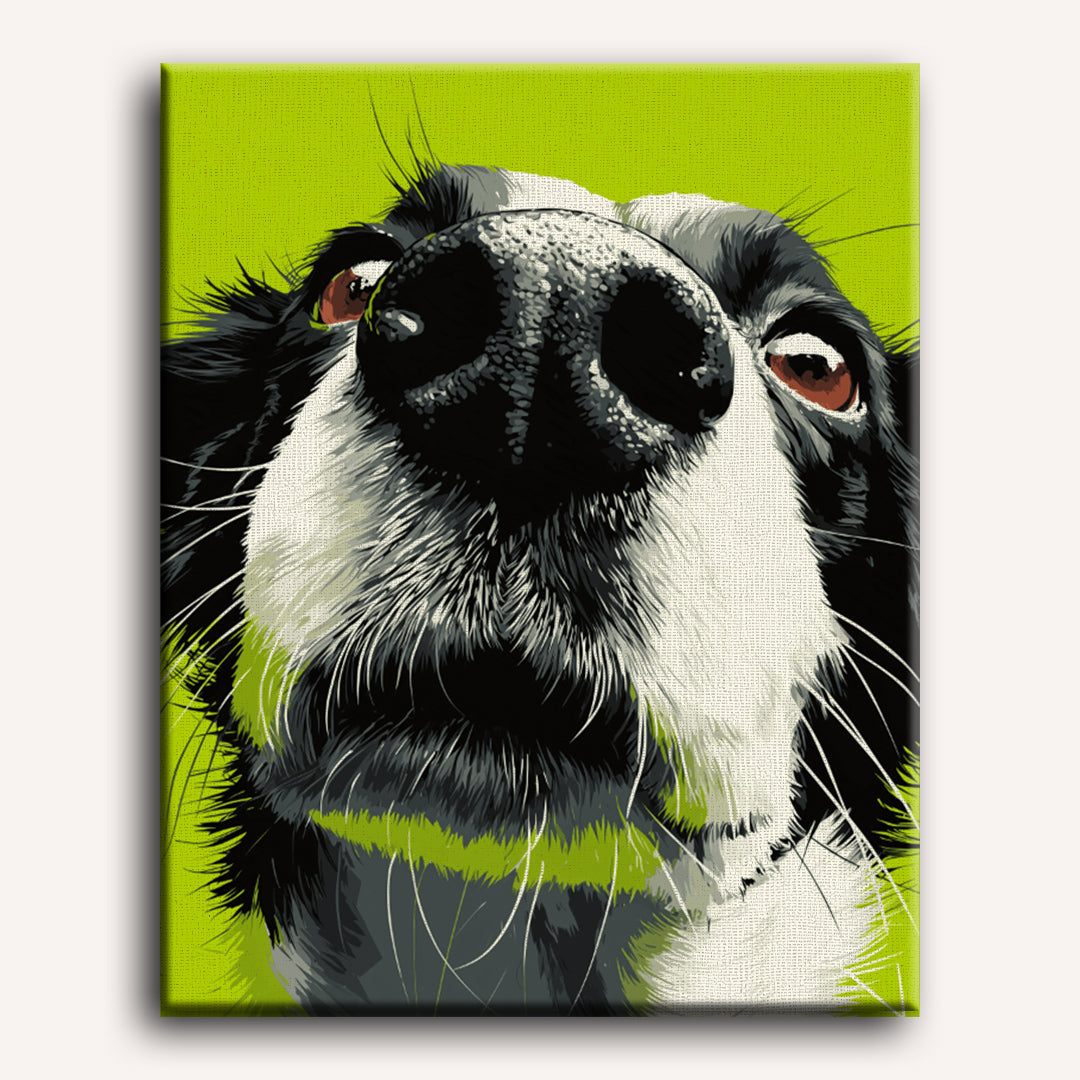 Curious Canine Close-Up