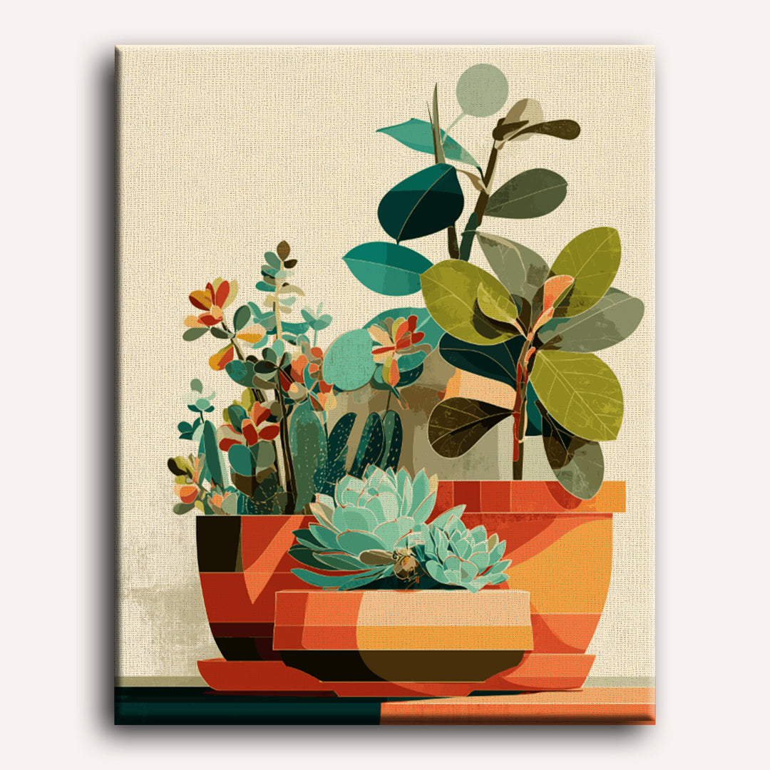Succulent Serenity