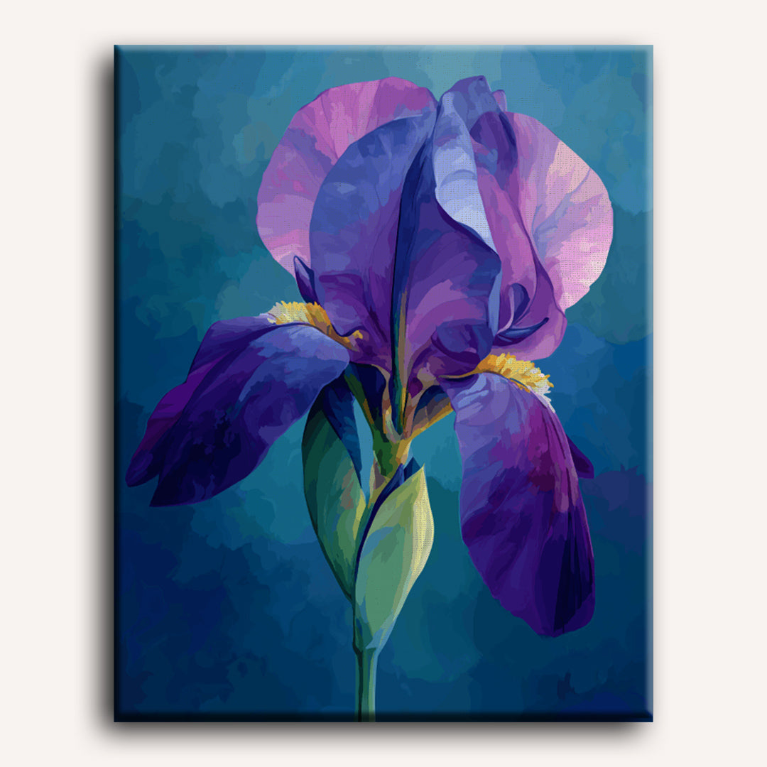 Velvet Iris Serenity