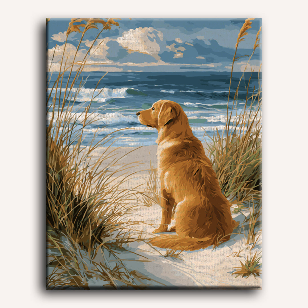 Labrador by the Shore | Paint by Number - Detail 2